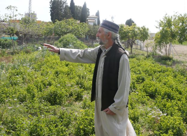 spanyol 3_5c8f5a9c5726a848fa3989bae35d20e7.JPG